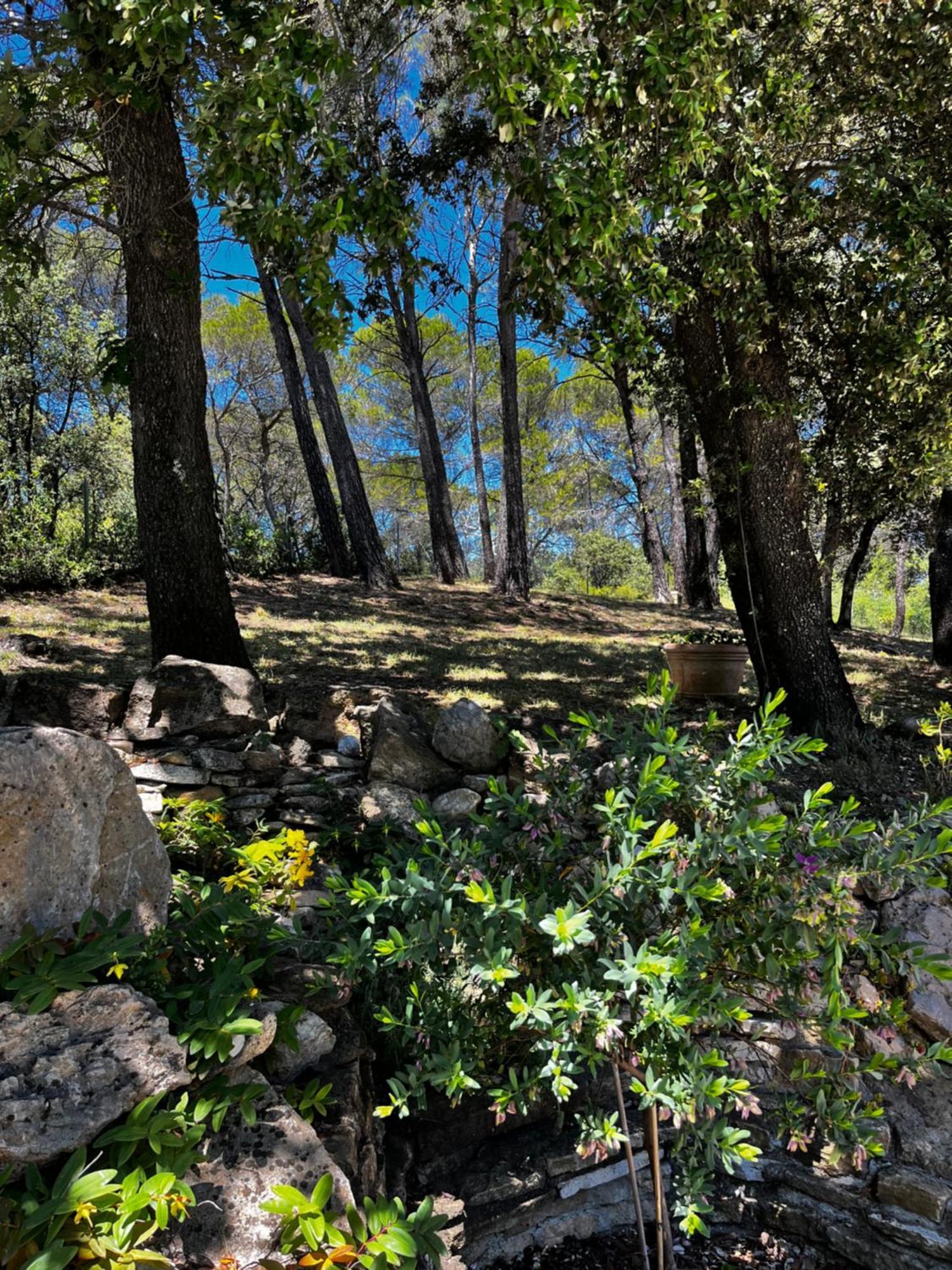 Maison Terre De Lune Mondragon Εξωτερικό φωτογραφία